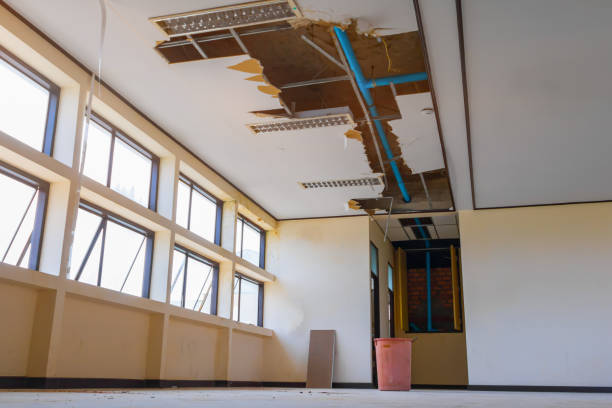 Best Flood damage cleanup  in Fillmore, CA