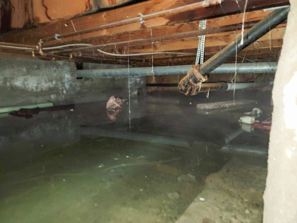Best Flooded house restoration  in Fillmore, CA