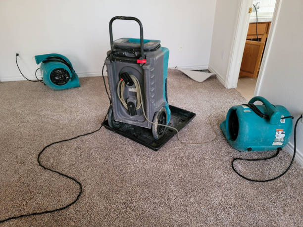 Best Flooded house restoration  in Fillmore, CA