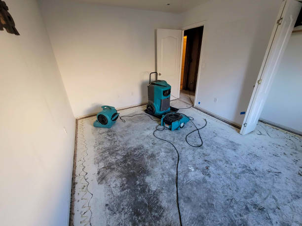Best Mold removal after water damage  in Fillmore, CA