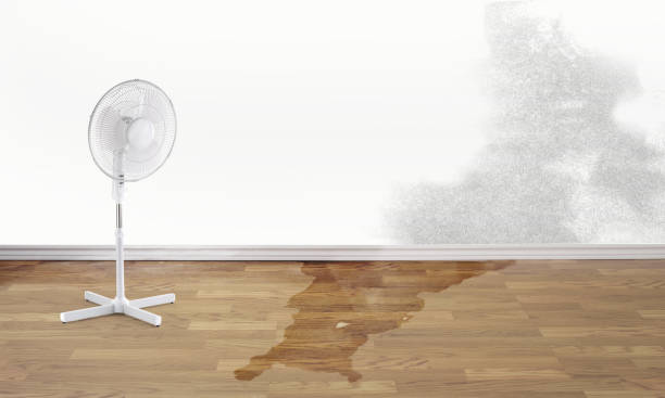 Best Water damage contractors near me  in Fillmore, CA
